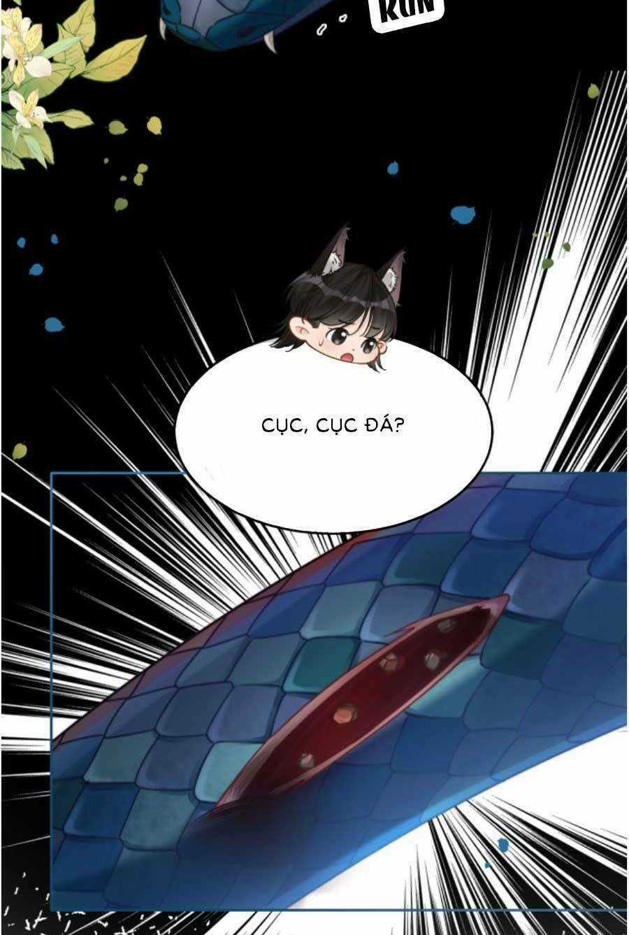 Xuyên Nhanh Nữ Phụ Bình Tĩnh Chút Chapter 167.1 trang 7