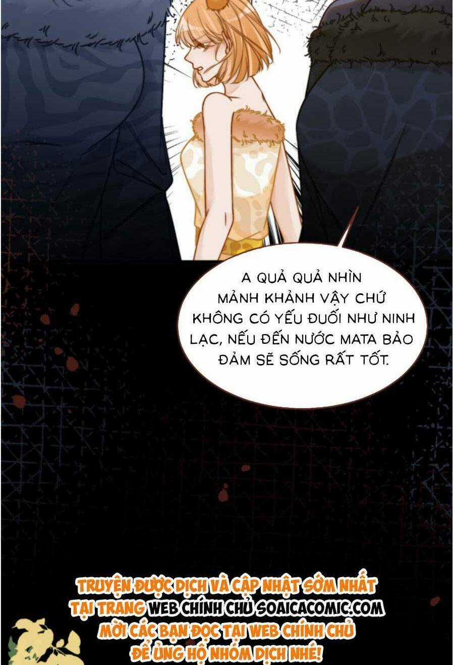 Xuyên Nhanh Nữ Phụ Bình Tĩnh Chút Chapter 167.2 trang 7