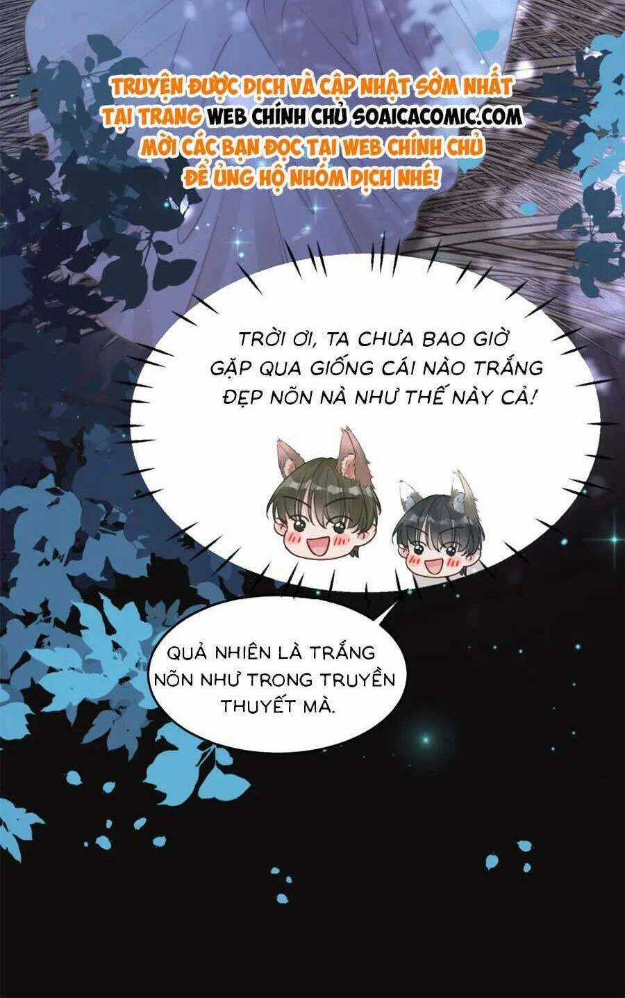 Xuyên Nhanh Nữ Phụ Bình Tĩnh Chút Chapter 168.1 trang 17