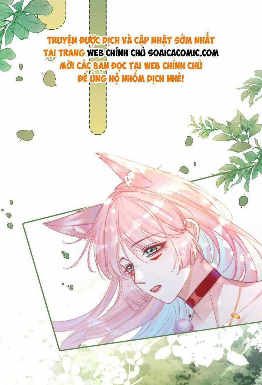 Xuyên Nhanh Nữ Phụ Bình Tĩnh Chút Chapter 168.1 trang 24