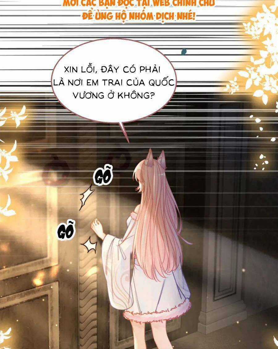 Xuyên Nhanh Nữ Phụ Bình Tĩnh Chút Chapter 168.2 trang 12