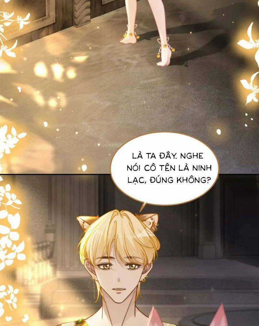 Xuyên Nhanh Nữ Phụ Bình Tĩnh Chút Chapter 168.2 trang 13