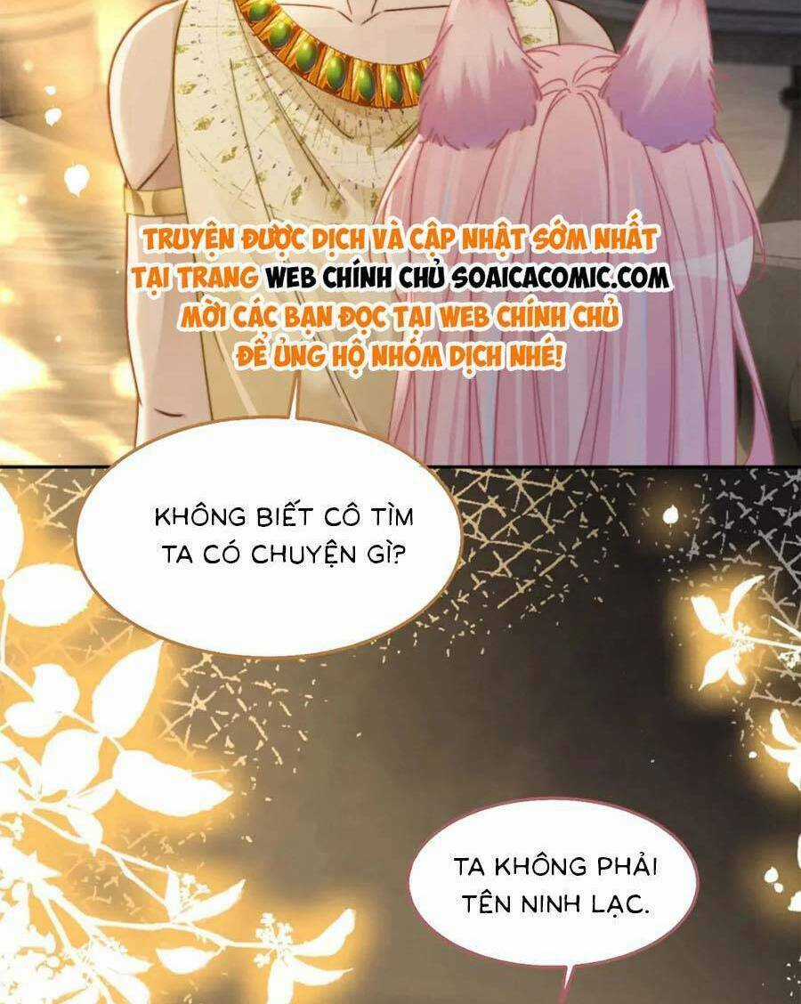 Xuyên Nhanh Nữ Phụ Bình Tĩnh Chút Chapter 168.2 trang 14