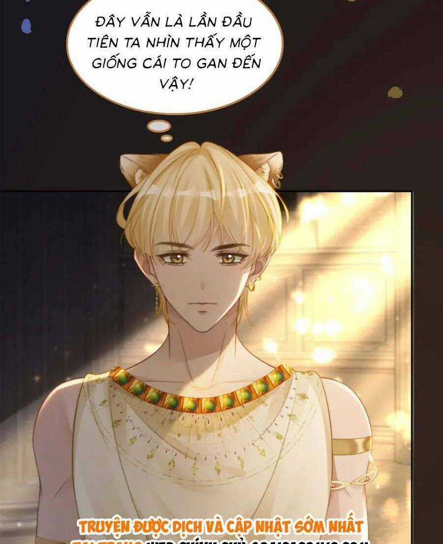 Xuyên Nhanh Nữ Phụ Bình Tĩnh Chút Chapter 168.2 trang 24