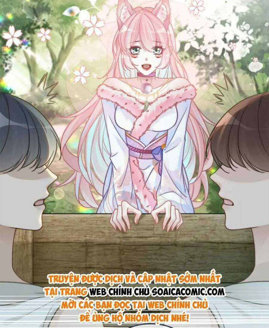 Xuyên Nhanh Nữ Phụ Bình Tĩnh Chút Chapter 168.2 trang 5