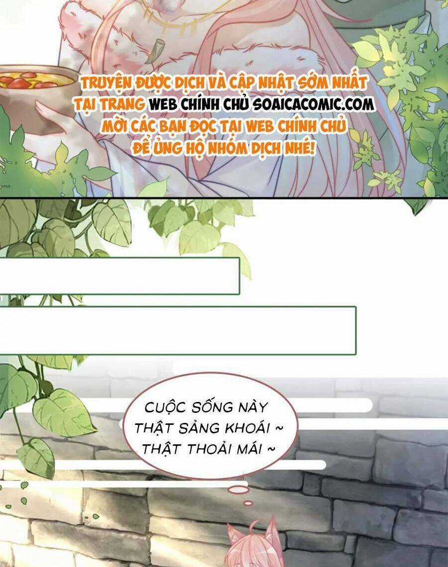 Xuyên Nhanh Nữ Phụ Bình Tĩnh Chút Chapter 168.2 trang 8