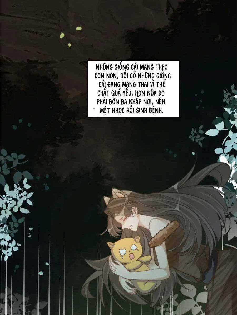 Xuyên Nhanh Nữ Phụ Bình Tĩnh Chút Chapter 169 trang 12