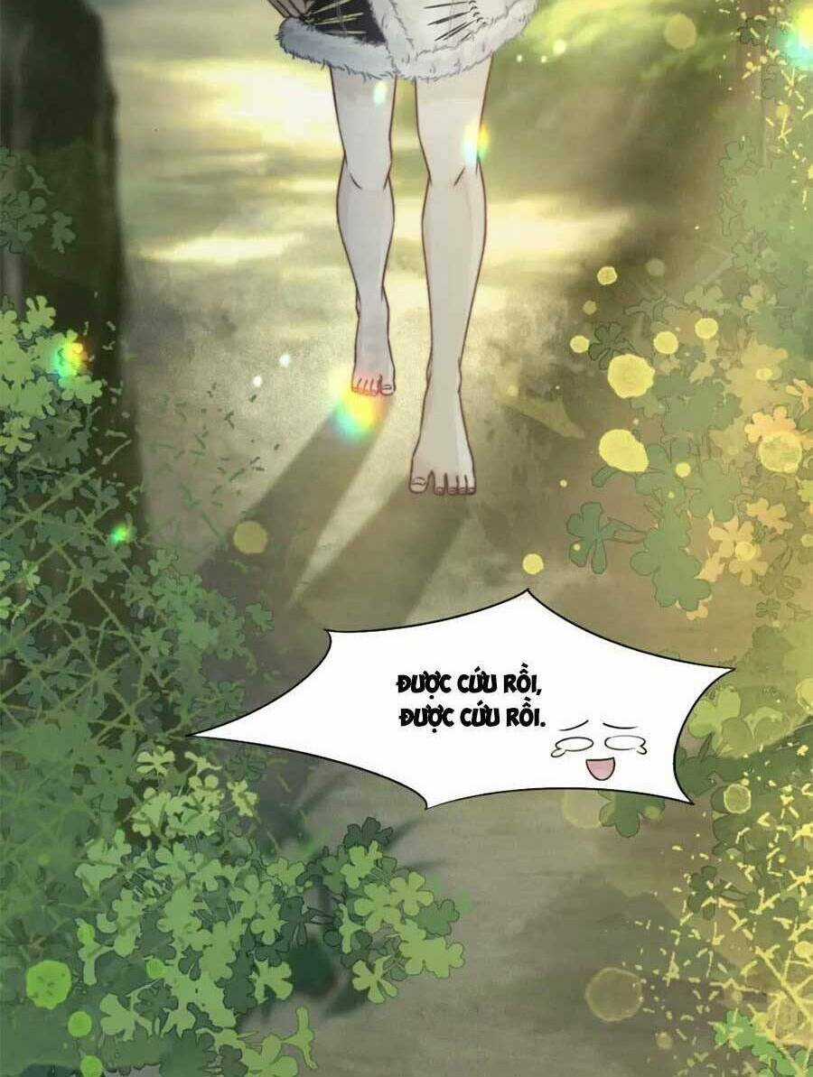 Xuyên Nhanh Nữ Phụ Bình Tĩnh Chút Chapter 169 trang 15