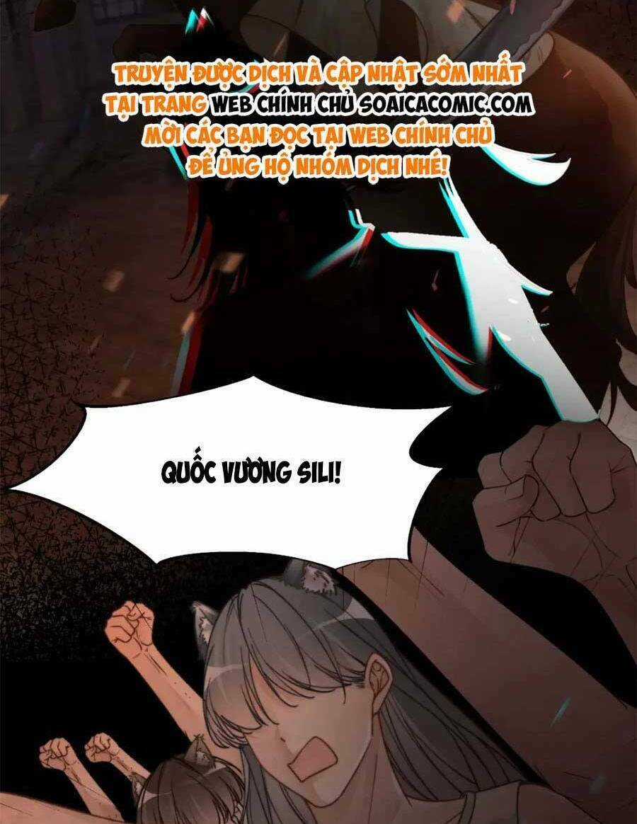 Xuyên Nhanh Nữ Phụ Bình Tĩnh Chút Chapter 169 trang 2