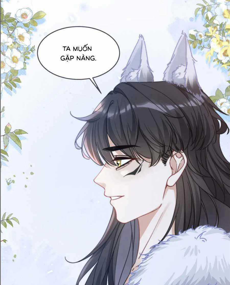 Xuyên Nhanh Nữ Phụ Bình Tĩnh Chút Chapter 169 trang 40