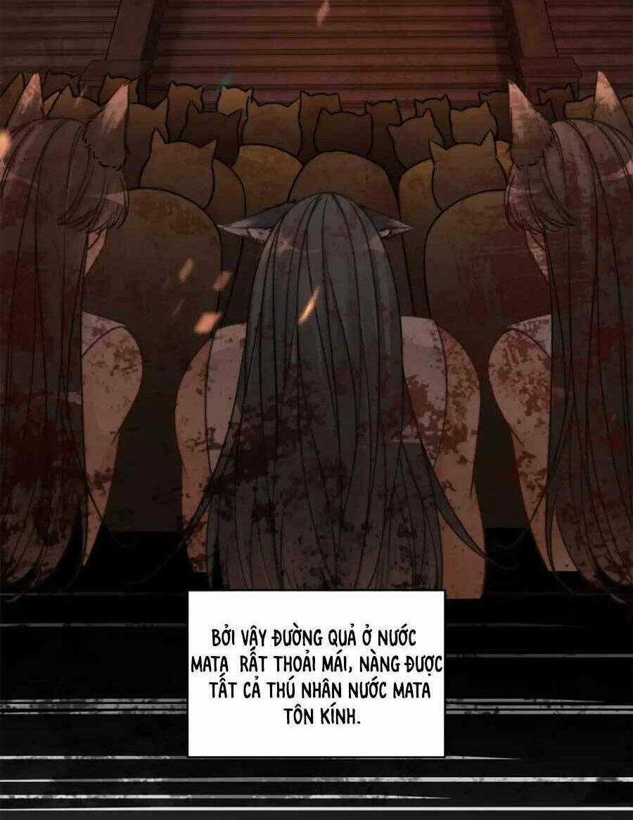 Xuyên Nhanh Nữ Phụ Bình Tĩnh Chút Chapter 169 trang 5