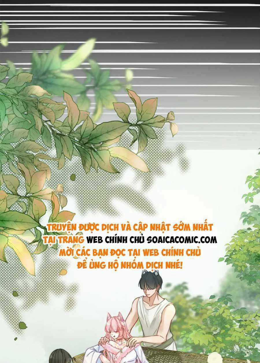 Xuyên Nhanh Nữ Phụ Bình Tĩnh Chút Chapter 169 trang 6