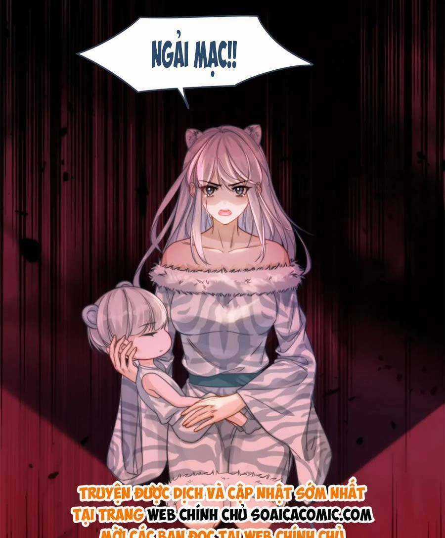 Xuyên Nhanh Nữ Phụ Bình Tĩnh Chút Chapter 171 trang 10