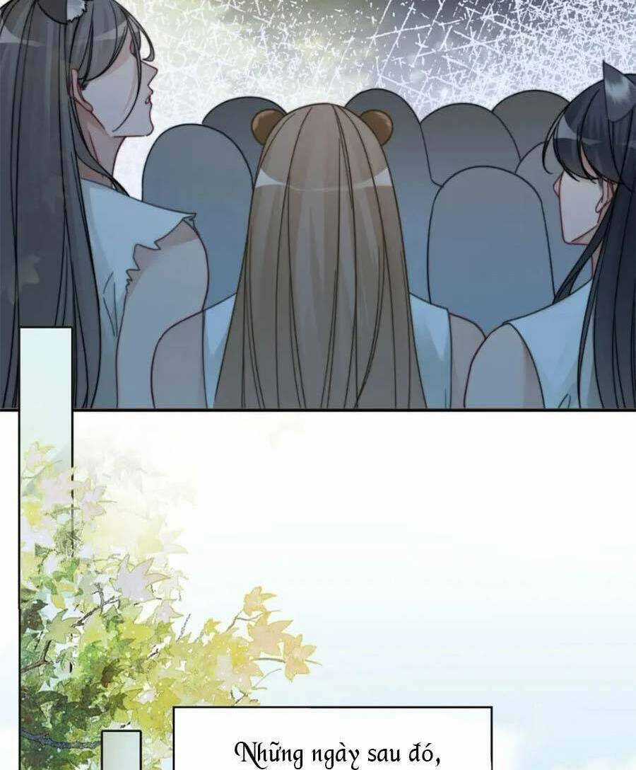 Xuyên Nhanh Nữ Phụ Bình Tĩnh Chút Chapter 171 trang 19