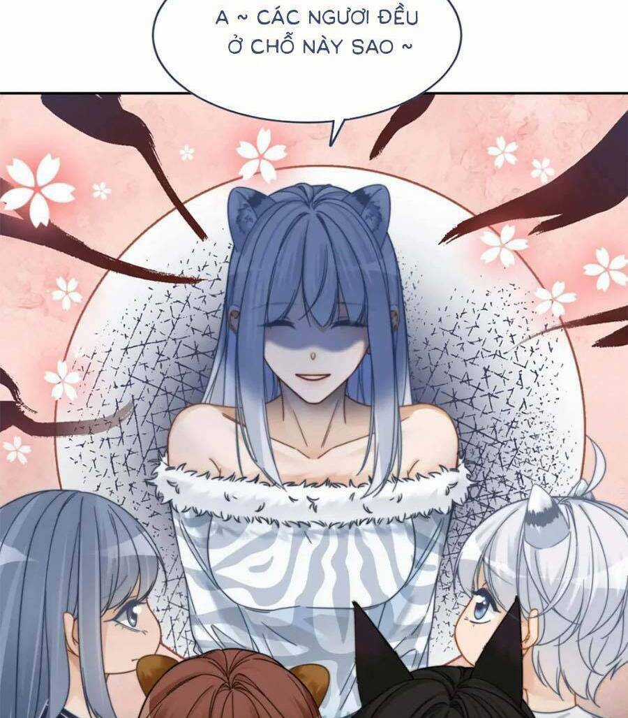 Xuyên Nhanh Nữ Phụ Bình Tĩnh Chút Chapter 171 trang 24