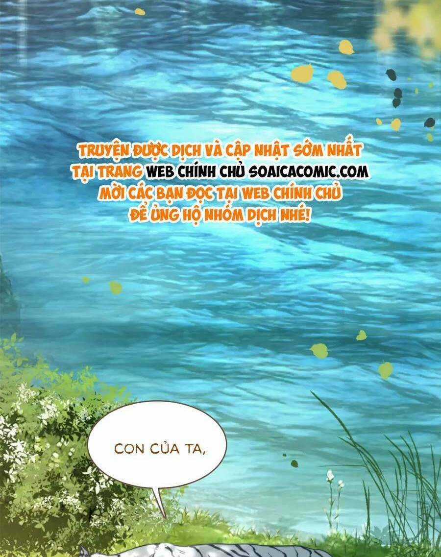 Xuyên Nhanh Nữ Phụ Bình Tĩnh Chút Chapter 171 trang 32