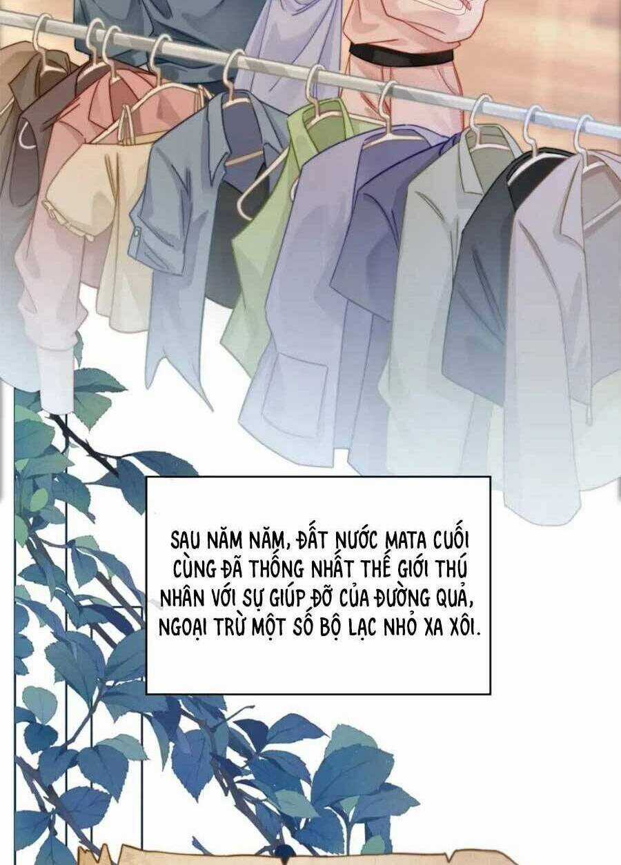 Xuyên Nhanh Nữ Phụ Bình Tĩnh Chút Chapter 172 trang 33