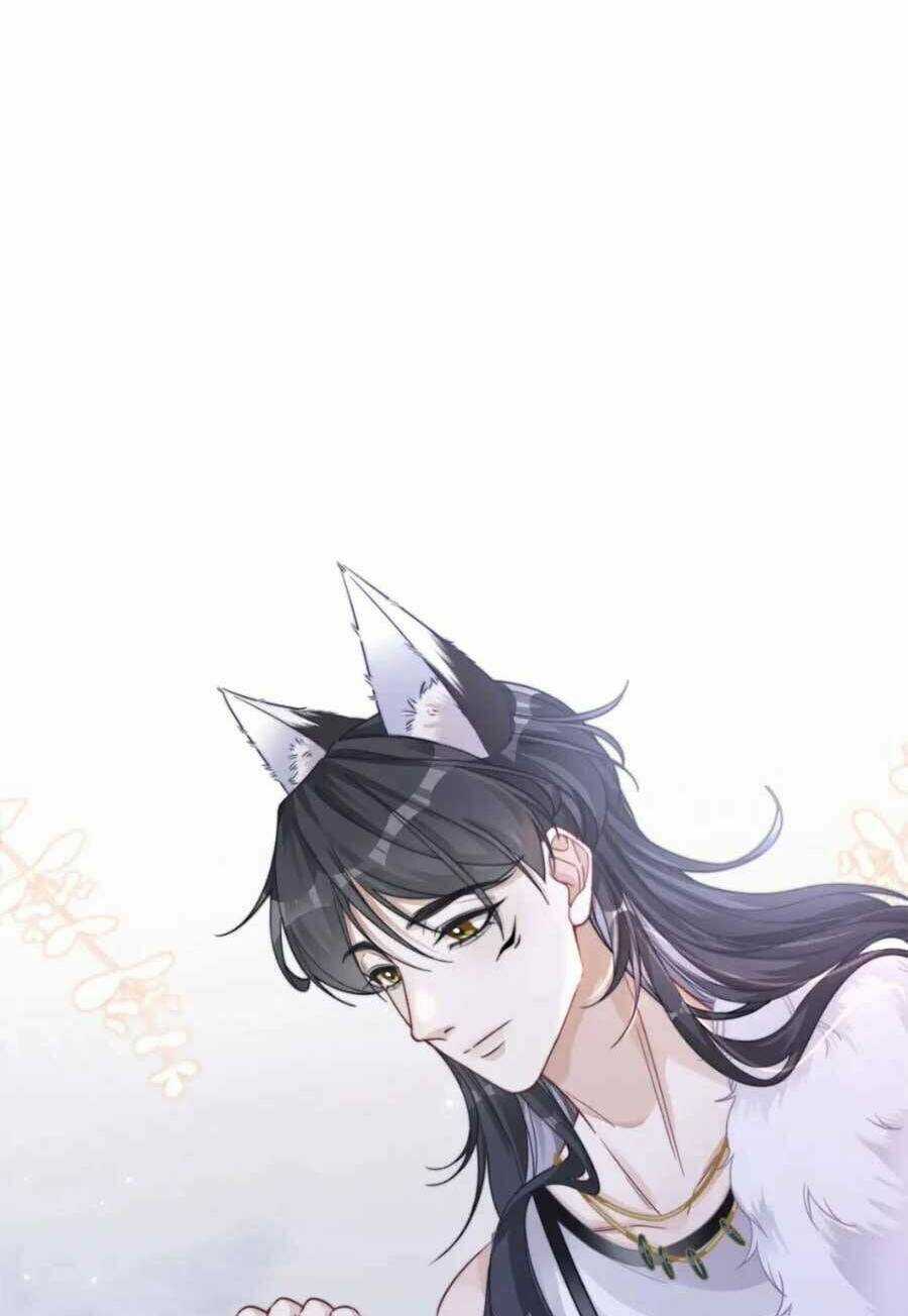 Xuyên Nhanh Nữ Phụ Bình Tĩnh Chút Chapter 172 trang 5