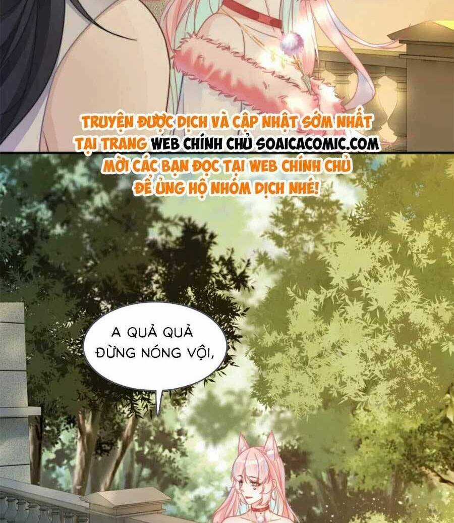 Xuyên Nhanh Nữ Phụ Bình Tĩnh Chút Chapter 173 trang 13
