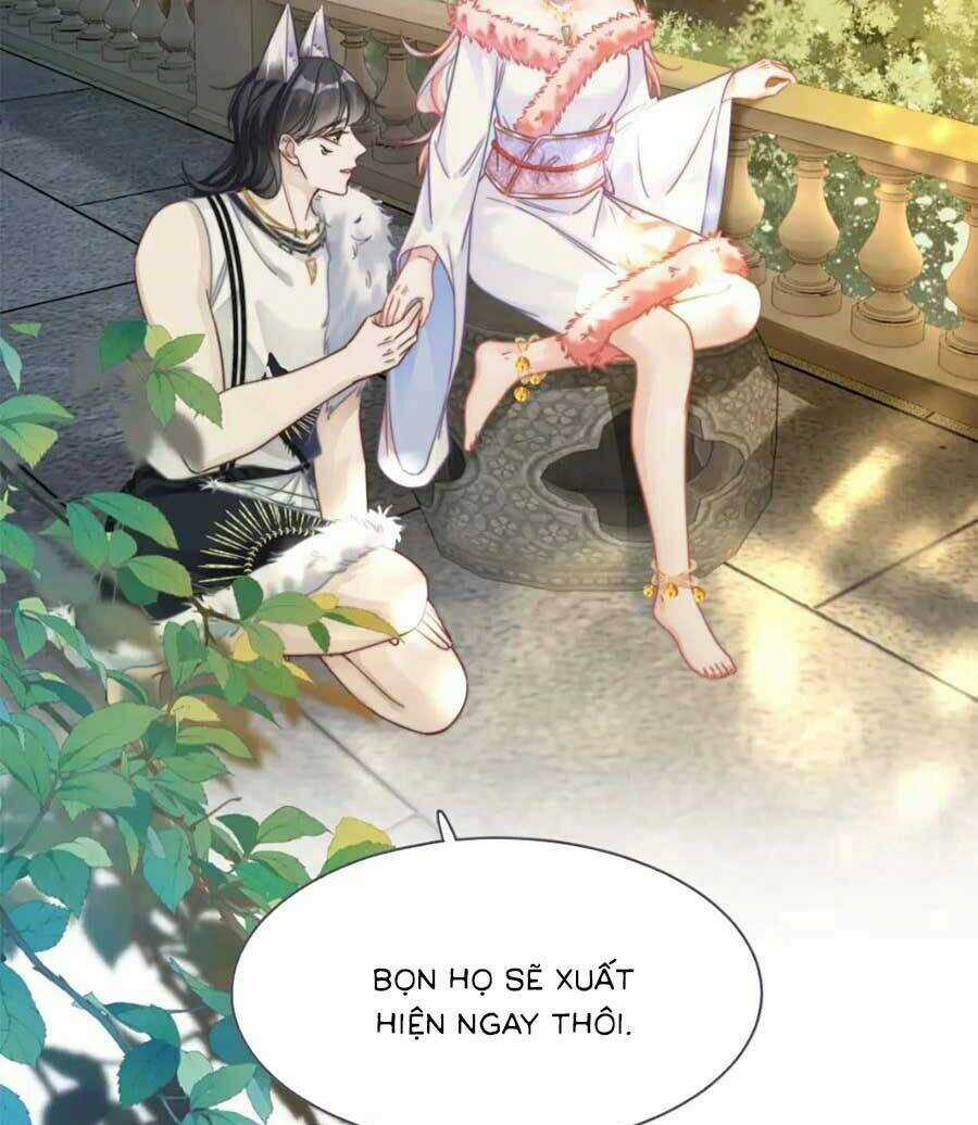 Xuyên Nhanh Nữ Phụ Bình Tĩnh Chút Chapter 173 trang 14