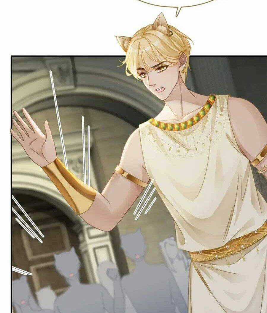 Xuyên Nhanh Nữ Phụ Bình Tĩnh Chút Chapter 173 trang 2