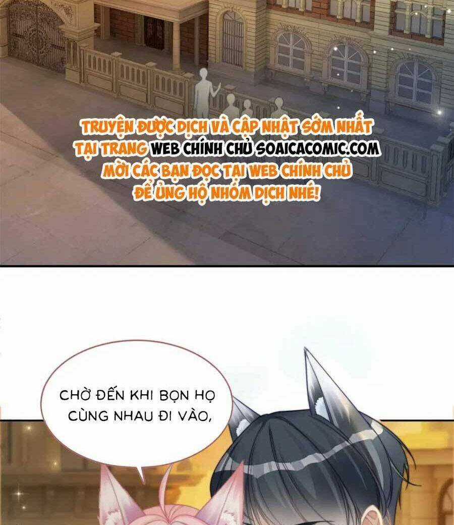 Xuyên Nhanh Nữ Phụ Bình Tĩnh Chút Chapter 173 trang 36