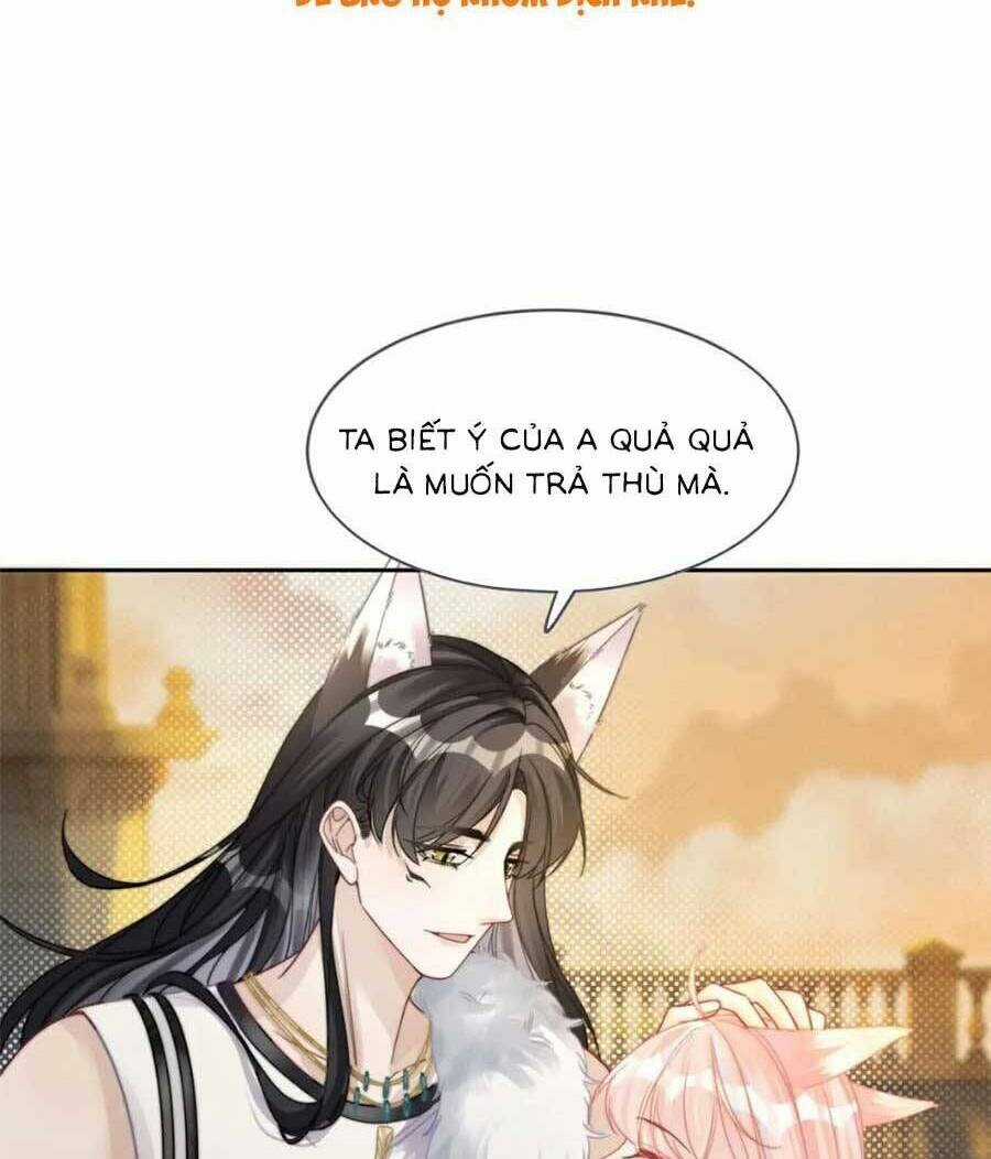 Xuyên Nhanh Nữ Phụ Bình Tĩnh Chút Chapter 173 trang 41
