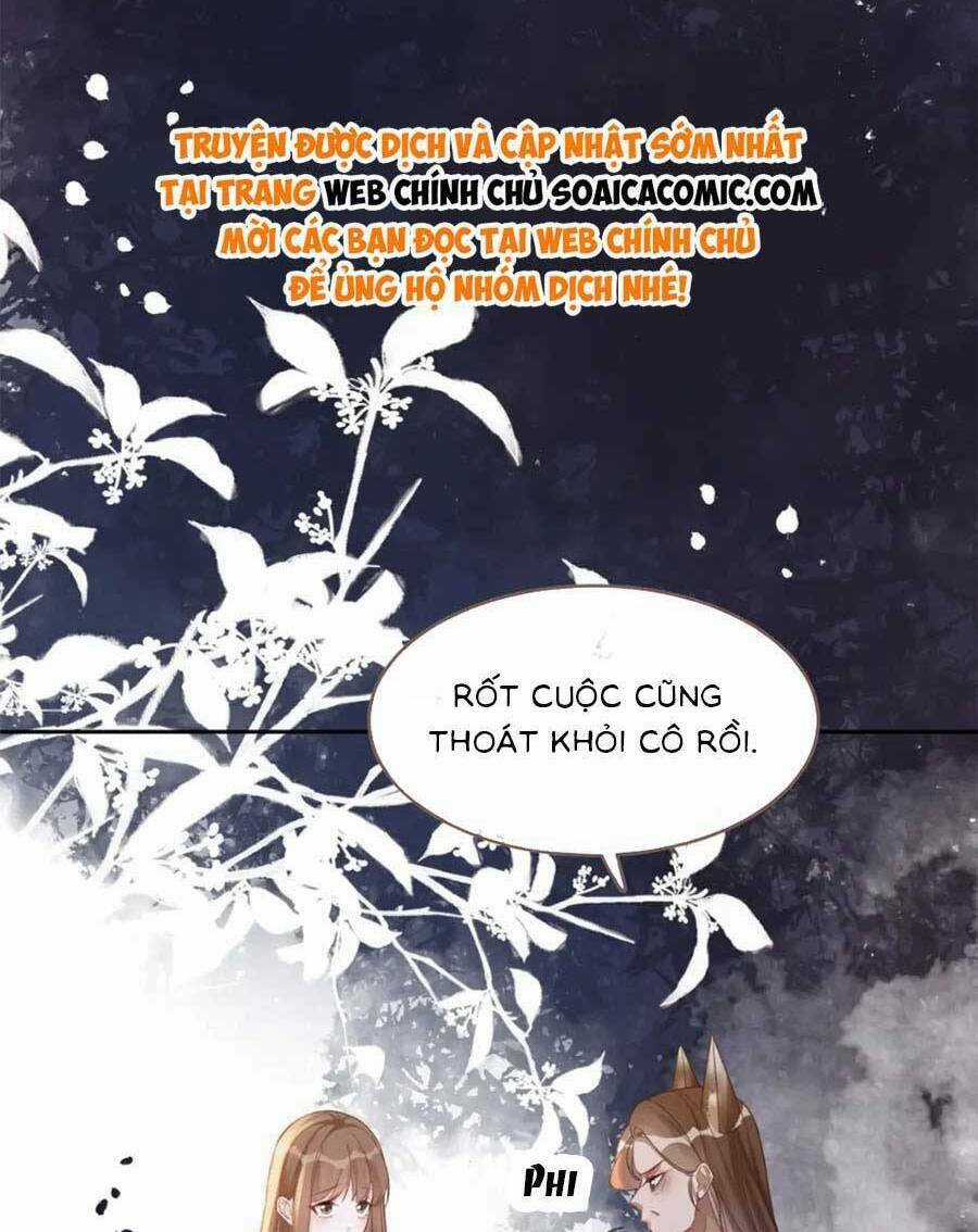 Xuyên Nhanh Nữ Phụ Bình Tĩnh Chút Chapter 174 trang 2