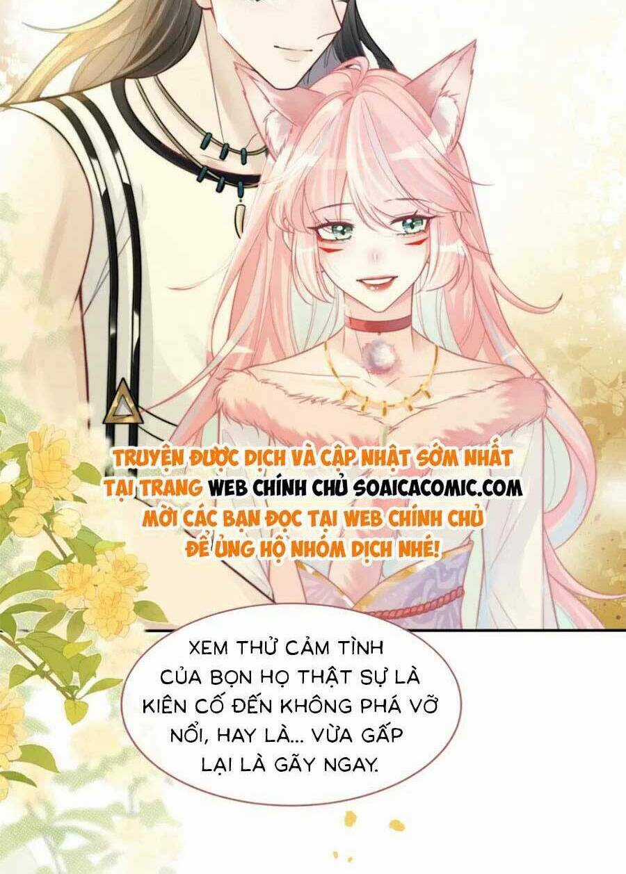 Xuyên Nhanh Nữ Phụ Bình Tĩnh Chút Chapter 174 trang 31