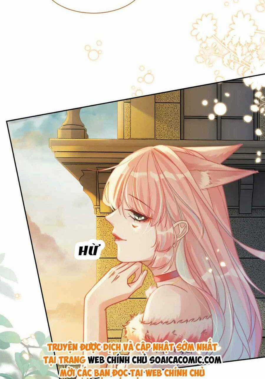 Xuyên Nhanh Nữ Phụ Bình Tĩnh Chút Chapter 175 trang 21