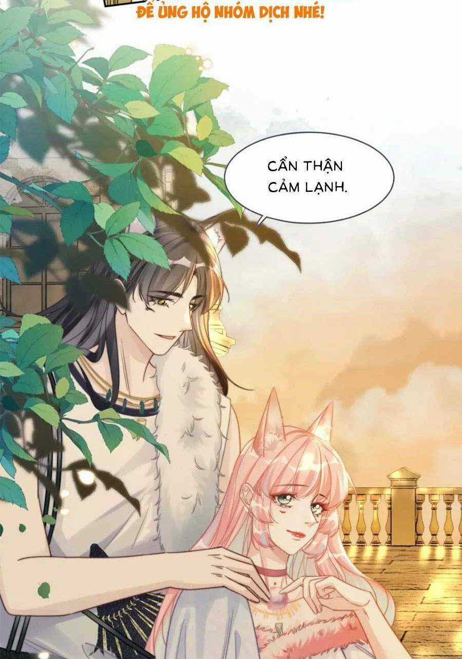 Xuyên Nhanh Nữ Phụ Bình Tĩnh Chút Chapter 175 trang 22