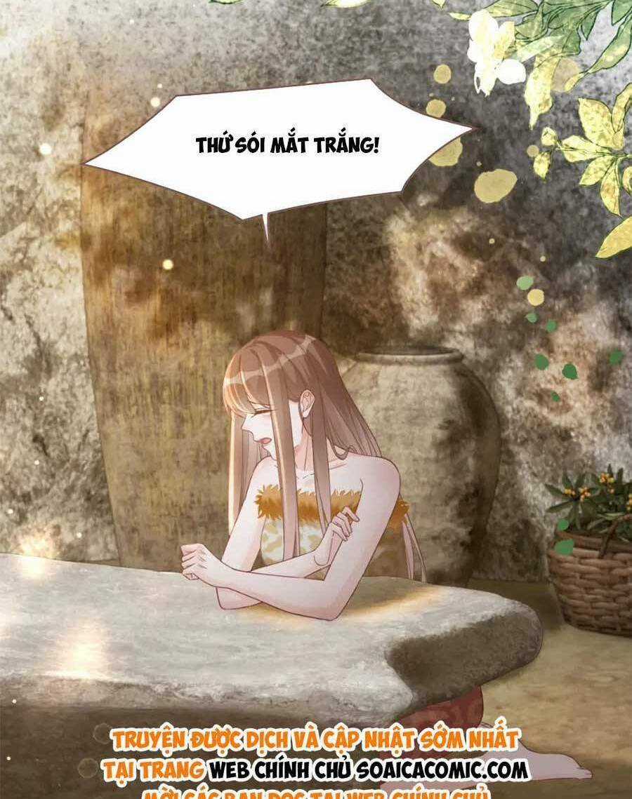 Xuyên Nhanh Nữ Phụ Bình Tĩnh Chút Chapter 175 trang 27