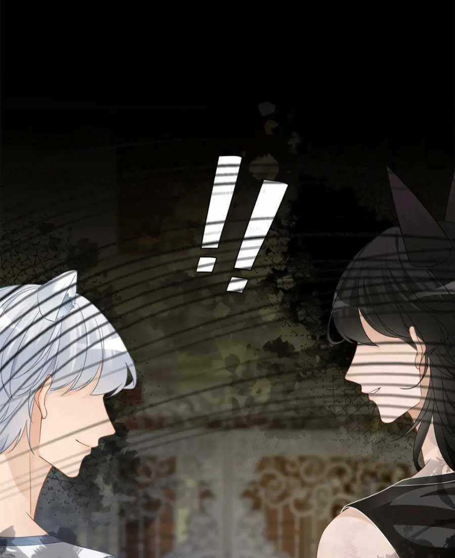 Xuyên Nhanh Nữ Phụ Bình Tĩnh Chút Chapter 176 trang 17