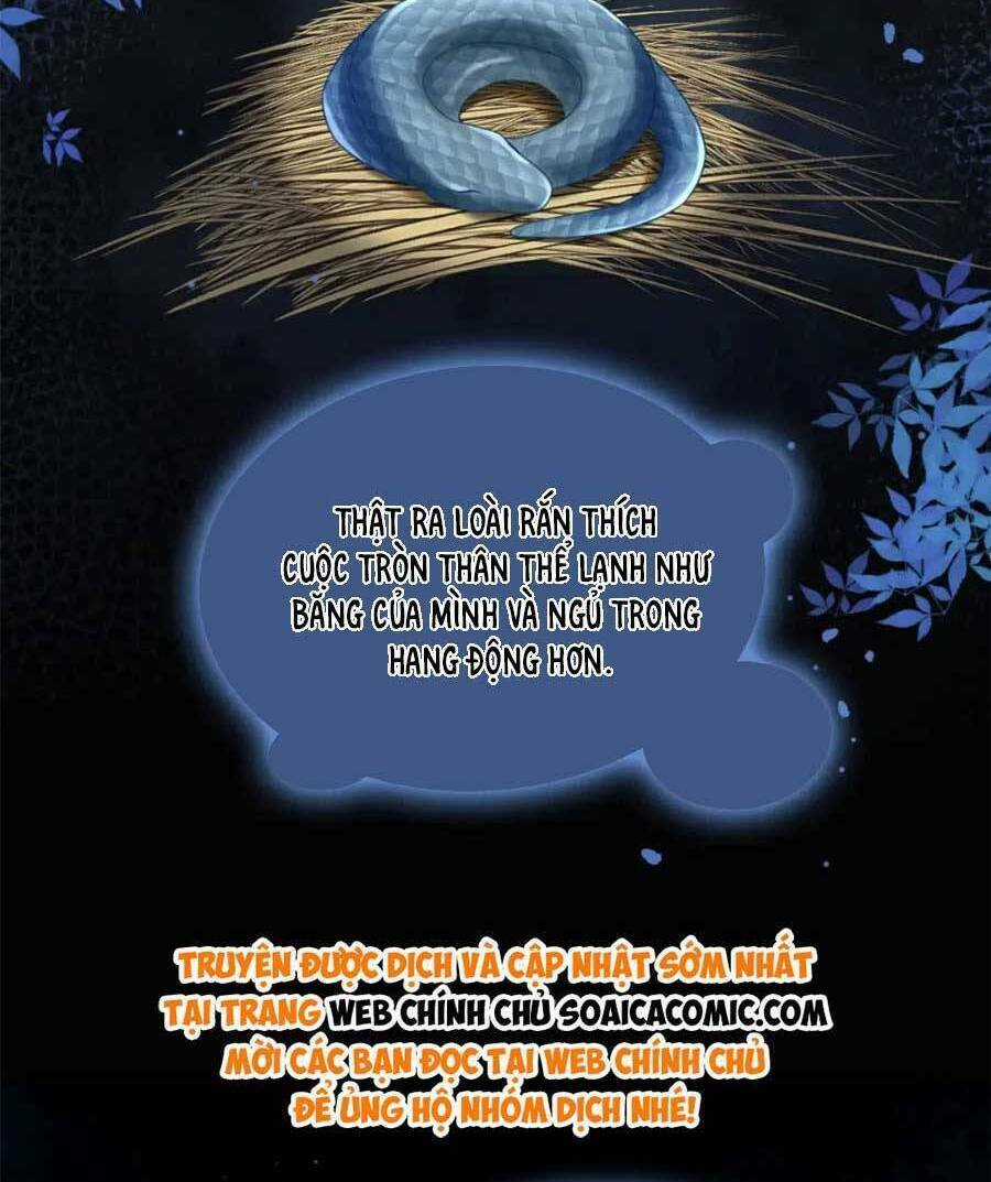 Xuyên Nhanh Nữ Phụ Bình Tĩnh Chút Chapter 176 trang 51