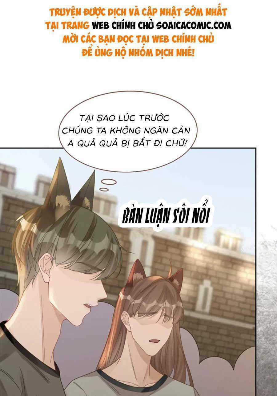 Xuyên Nhanh Nữ Phụ Bình Tĩnh Chút Chapter 177 trang 18