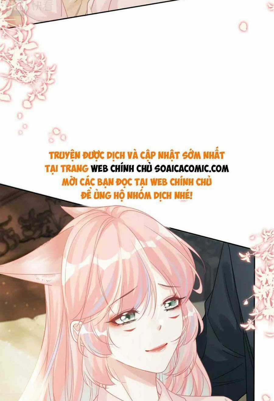 Xuyên Nhanh Nữ Phụ Bình Tĩnh Chút Chapter 177 trang 31