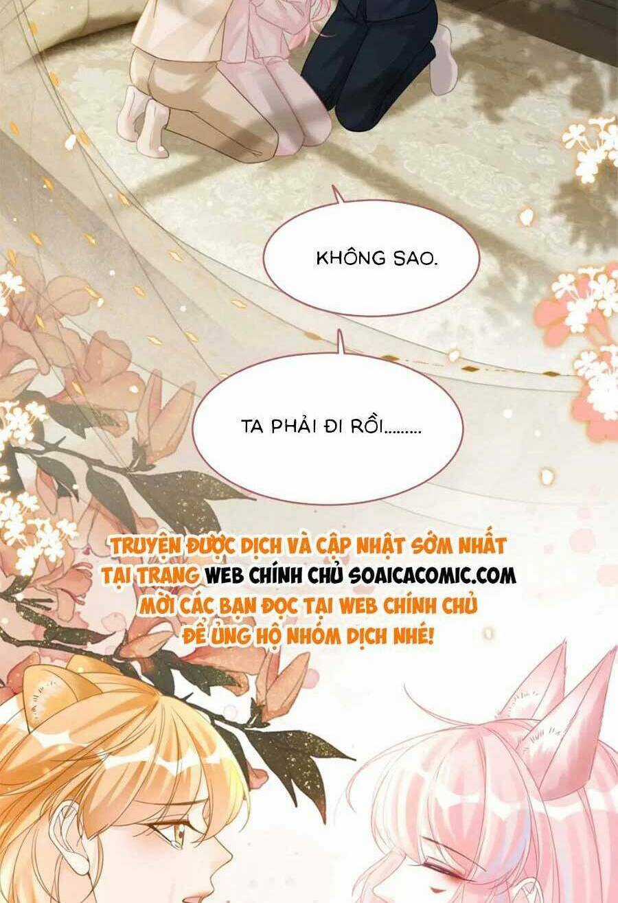 Xuyên Nhanh Nữ Phụ Bình Tĩnh Chút Chapter 177 trang 33