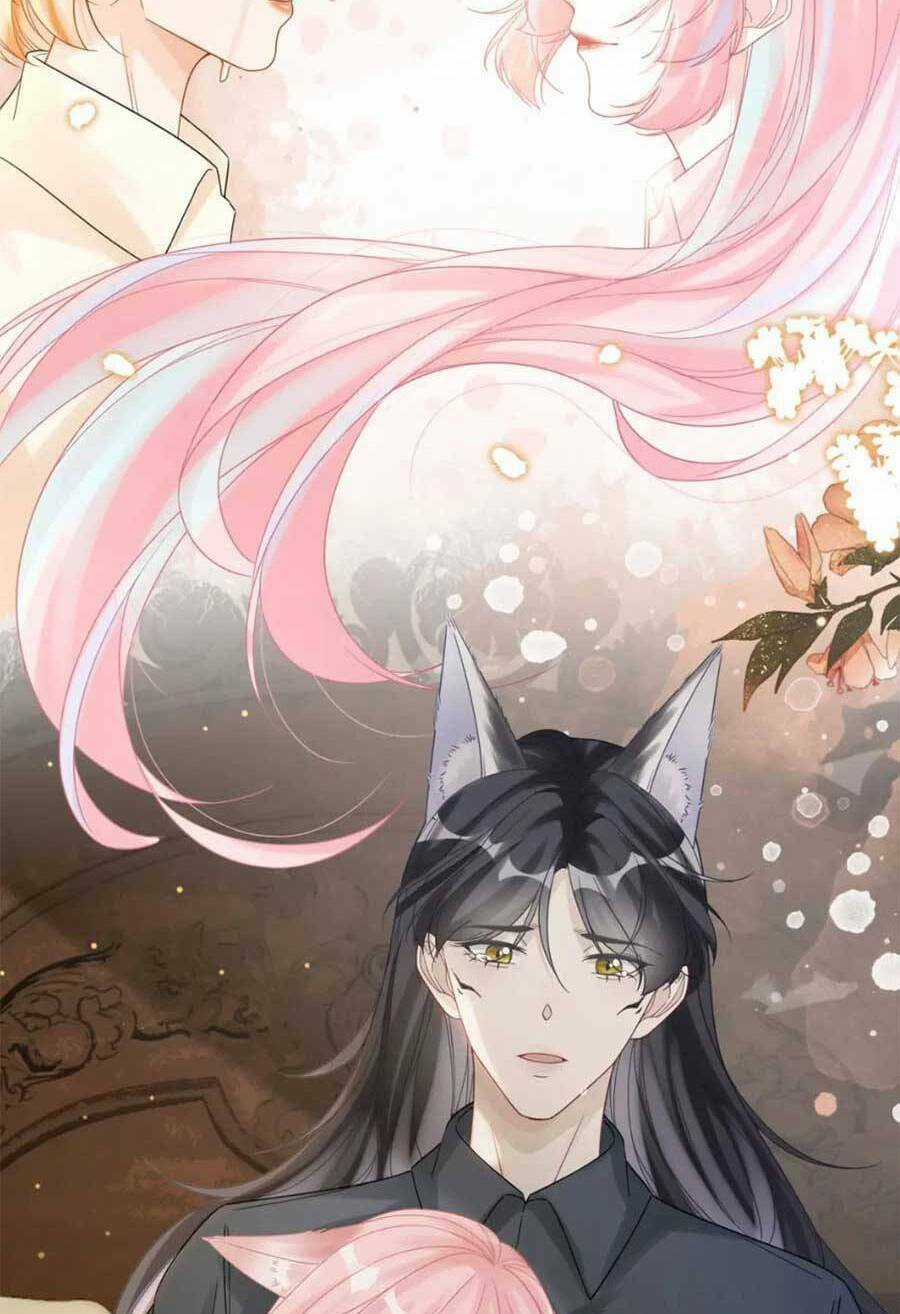 Xuyên Nhanh Nữ Phụ Bình Tĩnh Chút Chapter 177 trang 34