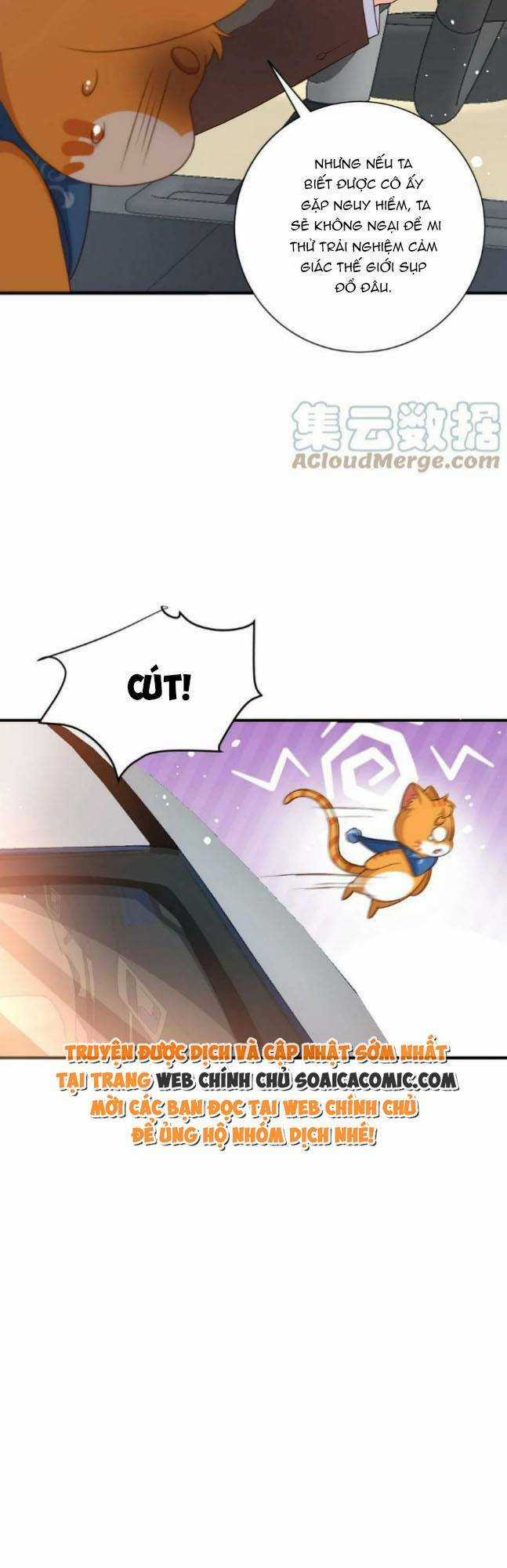 Xuyên Nhanh: Tra Nam Này Không Khó Trị Chapter 16 trang 16