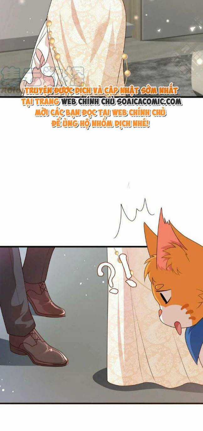 Xuyên Nhanh: Tra Nam Này Không Khó Trị Chapter 16 trang 3