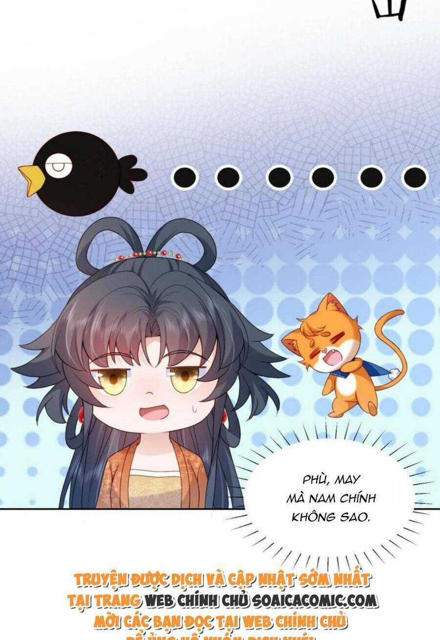 Xuyên Nhanh: Tra Nam Này Không Khó Trị Chapter 26 trang 12