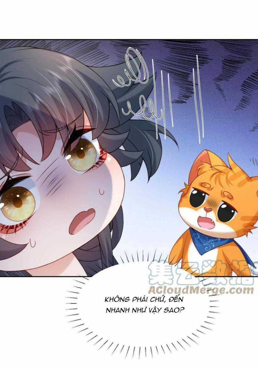 Xuyên Nhanh: Tra Nam Này Không Khó Trị Chapter 27 trang 38