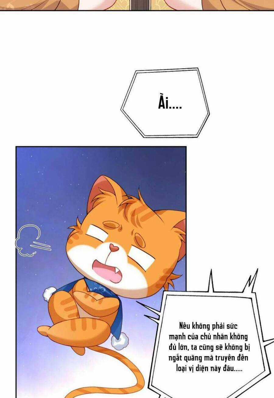 Xuyên Nhanh: Tra Nam Này Không Khó Trị Chapter 28 trang 42