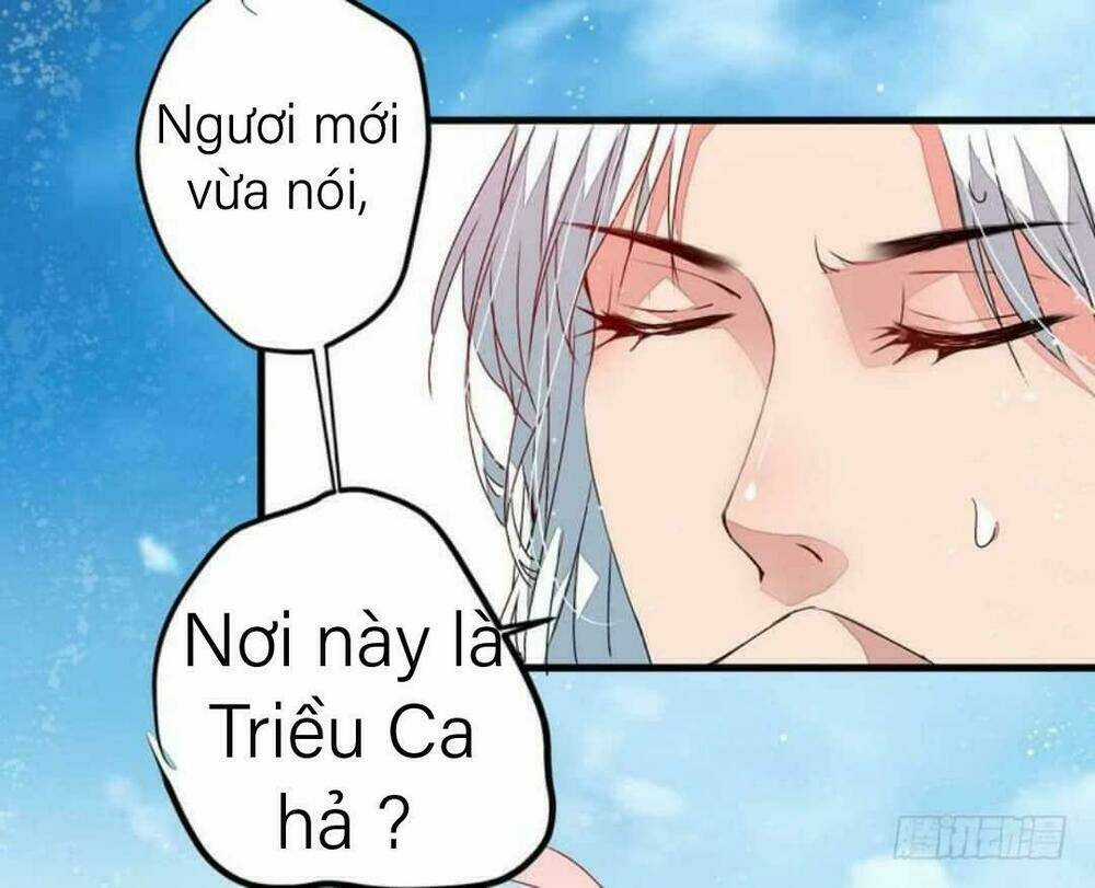 Xuyên Qua Cứu Mỹ Nam Ở Thế Giới Phong Thần Chapter 11 trang 14