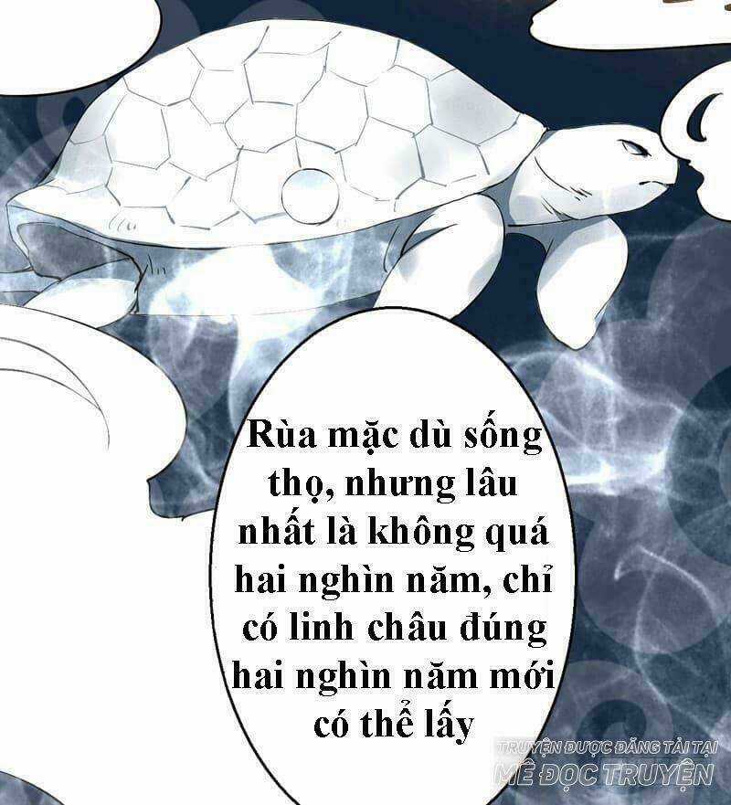 Xuyên Qua Cứu Mỹ Nam Ở Thế Giới Phong Thần Chapter 21 trang 5