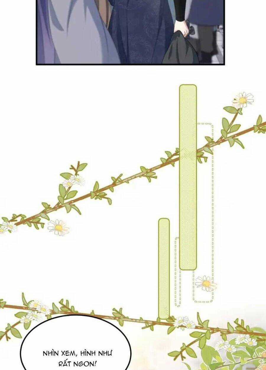 Xuyên Qua Làm Vương Phi Xinh Đẹp Của Vương Gia Chapter 26 trang 3