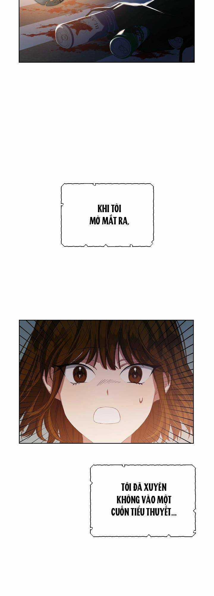 Xuyên Sách Đến Phát Ngán Chapter 1 trang 24