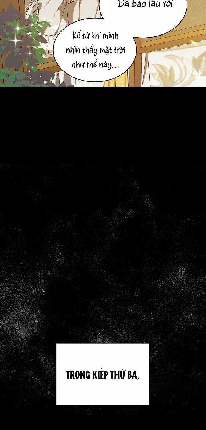 Xuyên Sách Đến Phát Ngán Chapter 2 trang 12