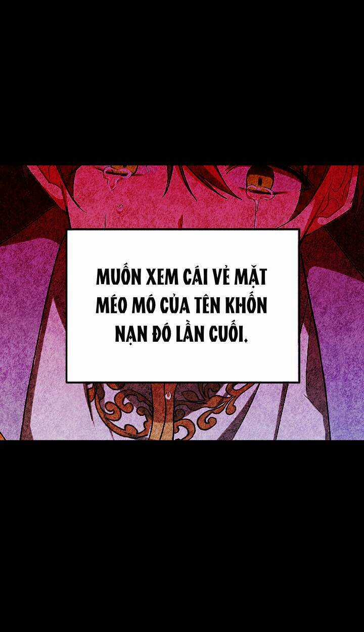 Xuyên Sách Đến Phát Ngán Chapter 2 trang 21