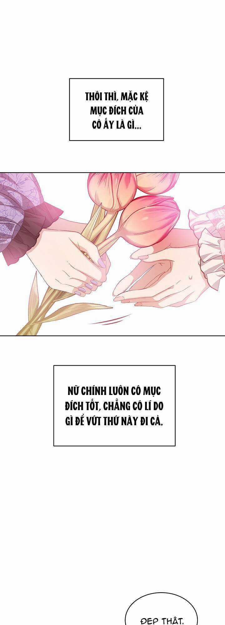 Xuyên Sách Đến Phát Ngán Chapter 2 trang 72